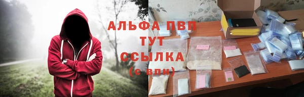 PSILOCYBIN Балахна