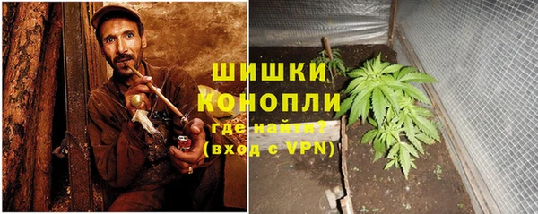 гашик Гусь-Хрустальный