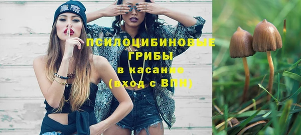 PSILOCYBIN Балахна