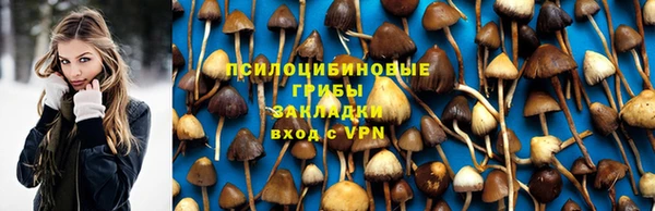 PSILOCYBIN Балахна