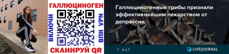 что такое   Белёв  площадка наркотические препараты  Галлюциногенные грибы Magic Shrooms 